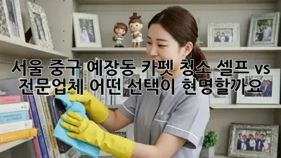 서울 중구 예장동 카펫 청소: 셀프 vs 전문업체, 어떤 선택이 현명할까요?