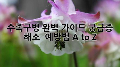🚨 수족구병 완벽 가이드: 궁금증 해소 & 예방법 A to Z 🖐️🦶