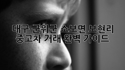 대구 군위군 소보면 보현리 중고차 거래 완벽 가이드
